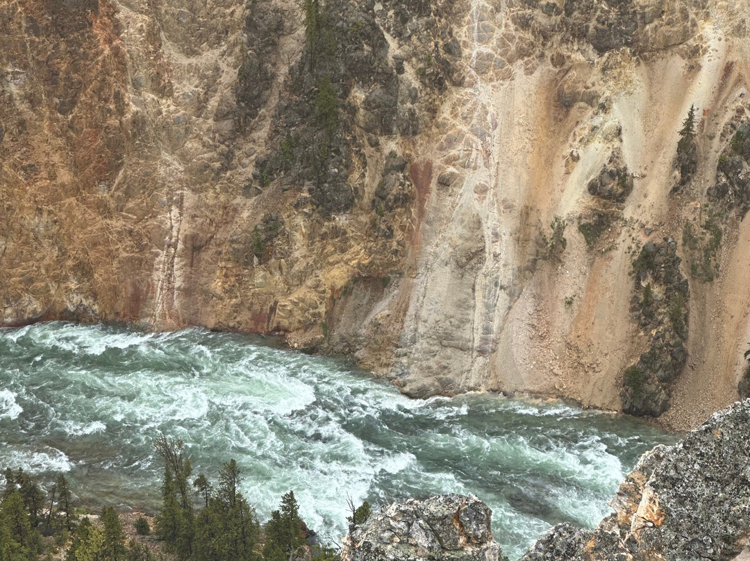 Jackson Hole Eco Tour Adventures-杰克逊必去景点