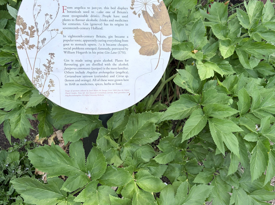 University of Oxford Botanic Garden-牛津必去景点
