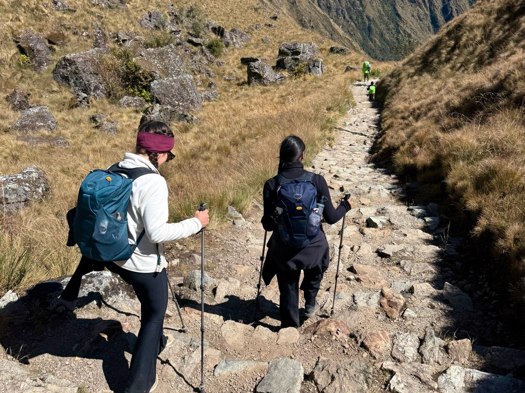 Alpaca Expeditions-库斯科必去景点