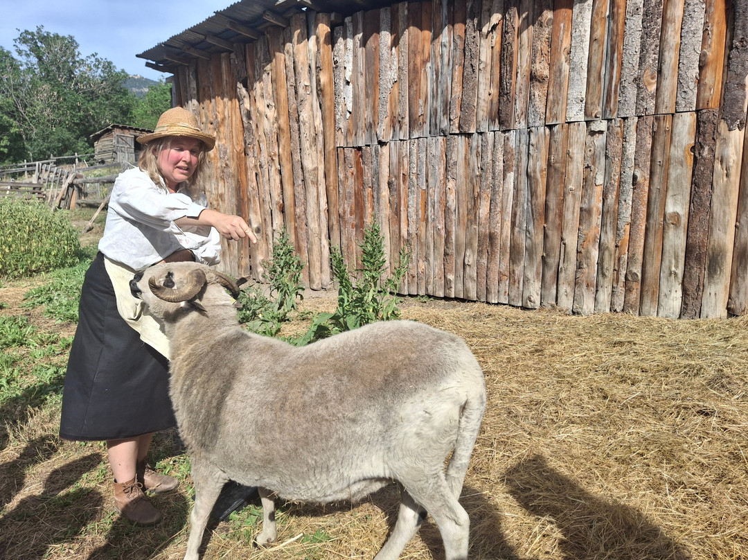 La Petite Ferme des Regains-Villar-Saint-Pancrace必去景点