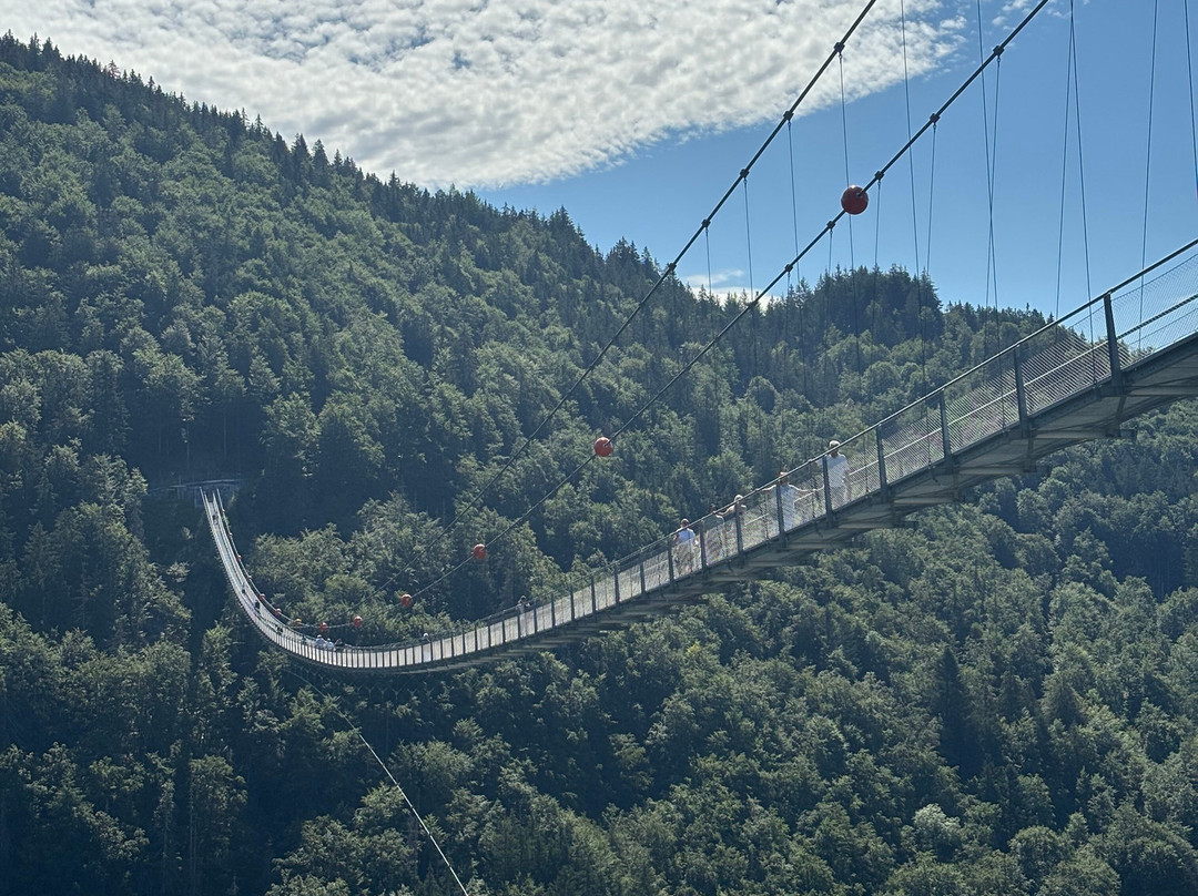 Black Forest Line Todtnau-托特瑙必去景点