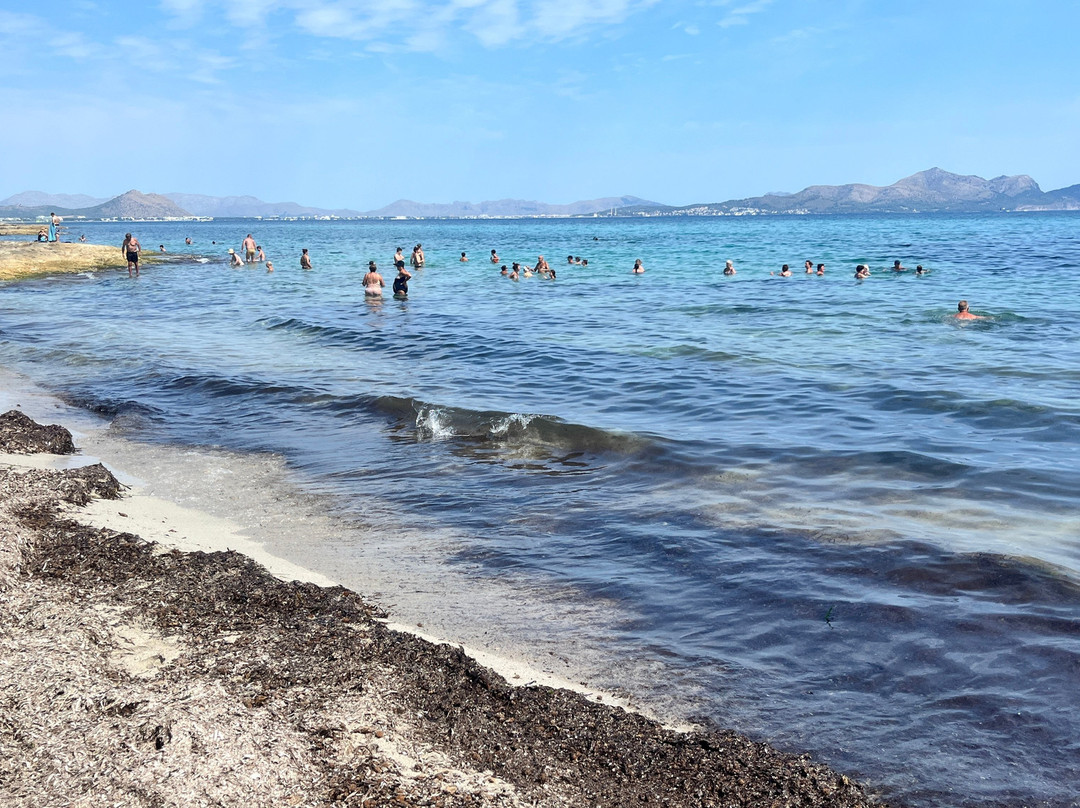 Playa de Son Baulo-Santa Margalida必去景点