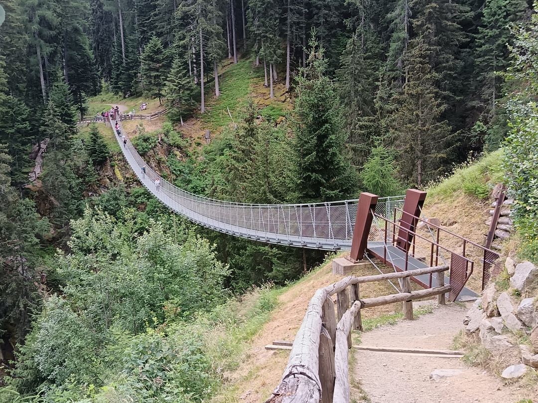 Experience Val di Sole-Mezzana必去景点