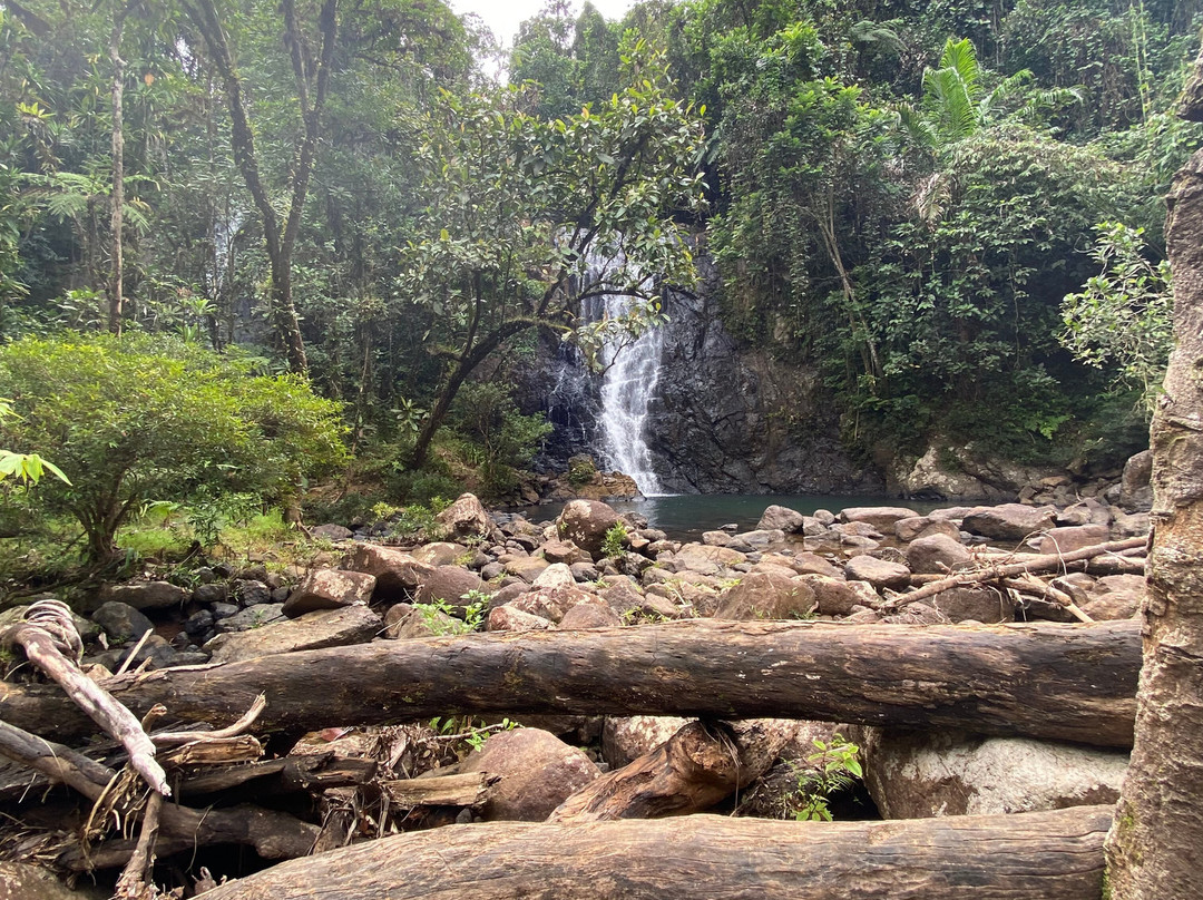 Terra Trek Tours-太平洋港必去景点