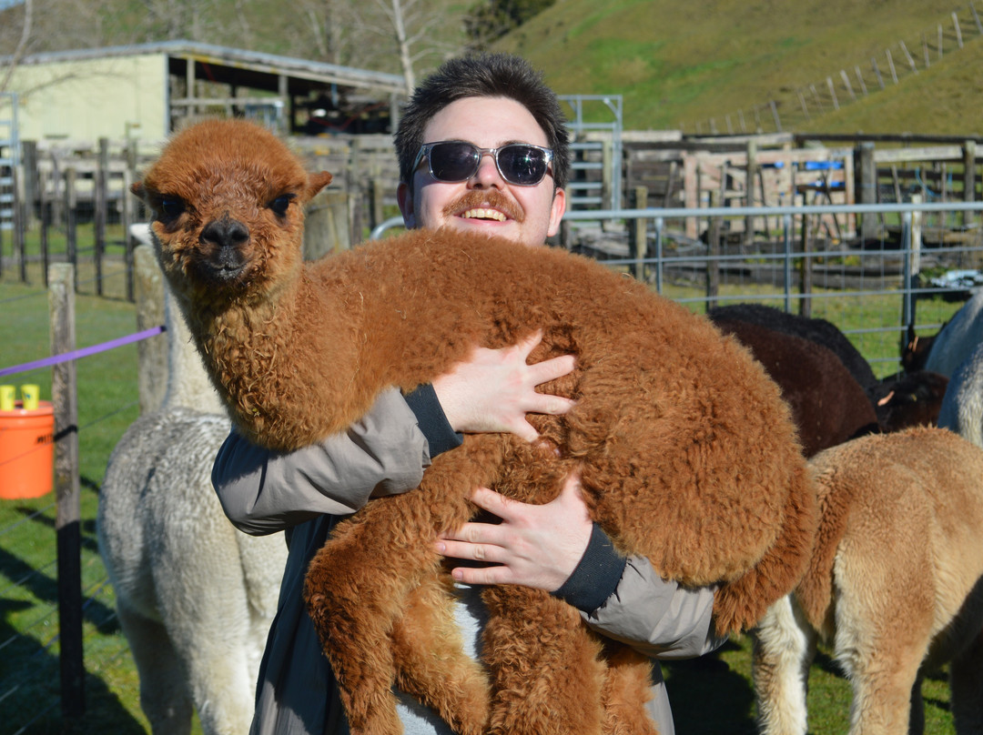 Nevalea Alpacas-Taumarunui必去景点