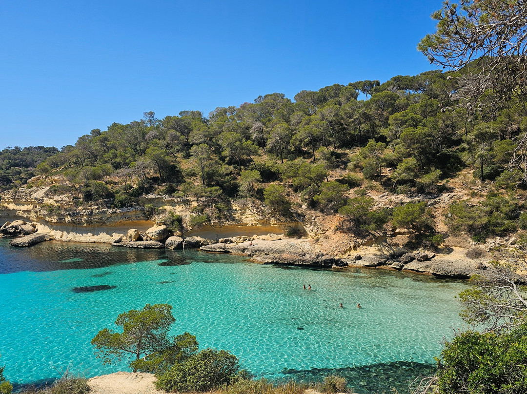 Mr. Mallorca guide tours VIP
