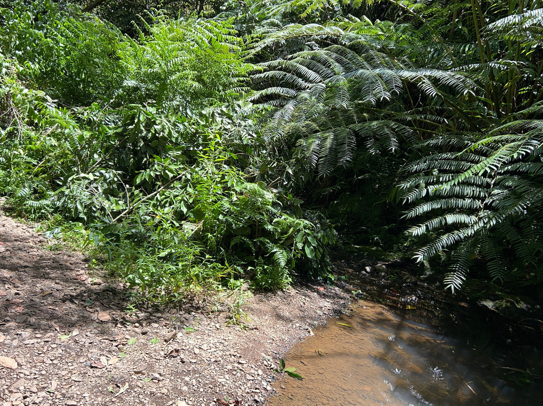Twin Falls Maui-毛伊岛必去景点