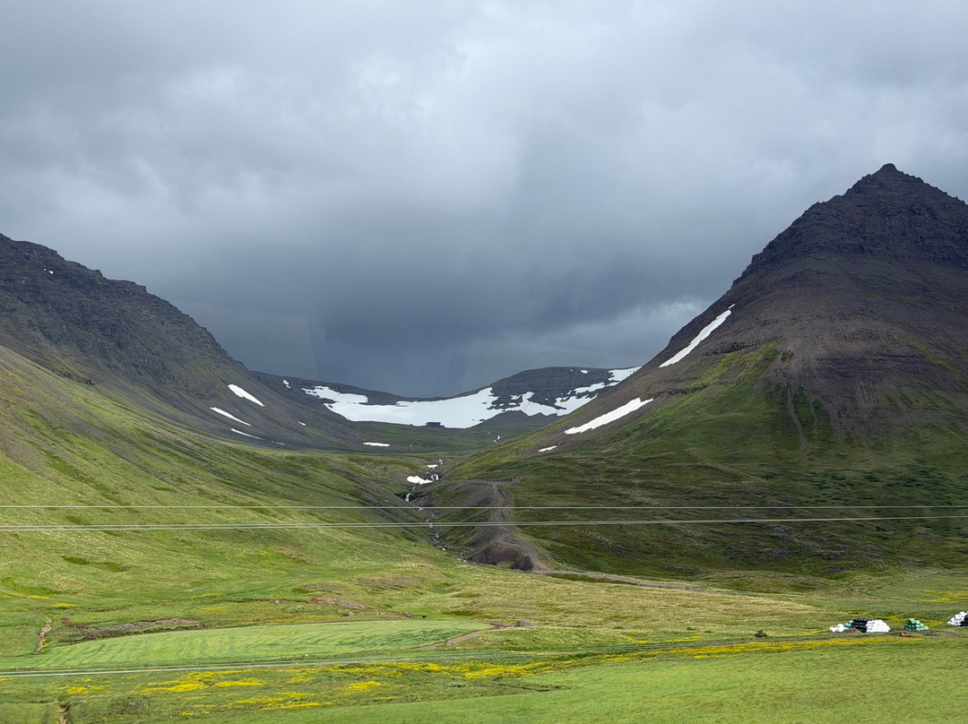 Wild Westfjords-伊萨菲厄泽必去景点