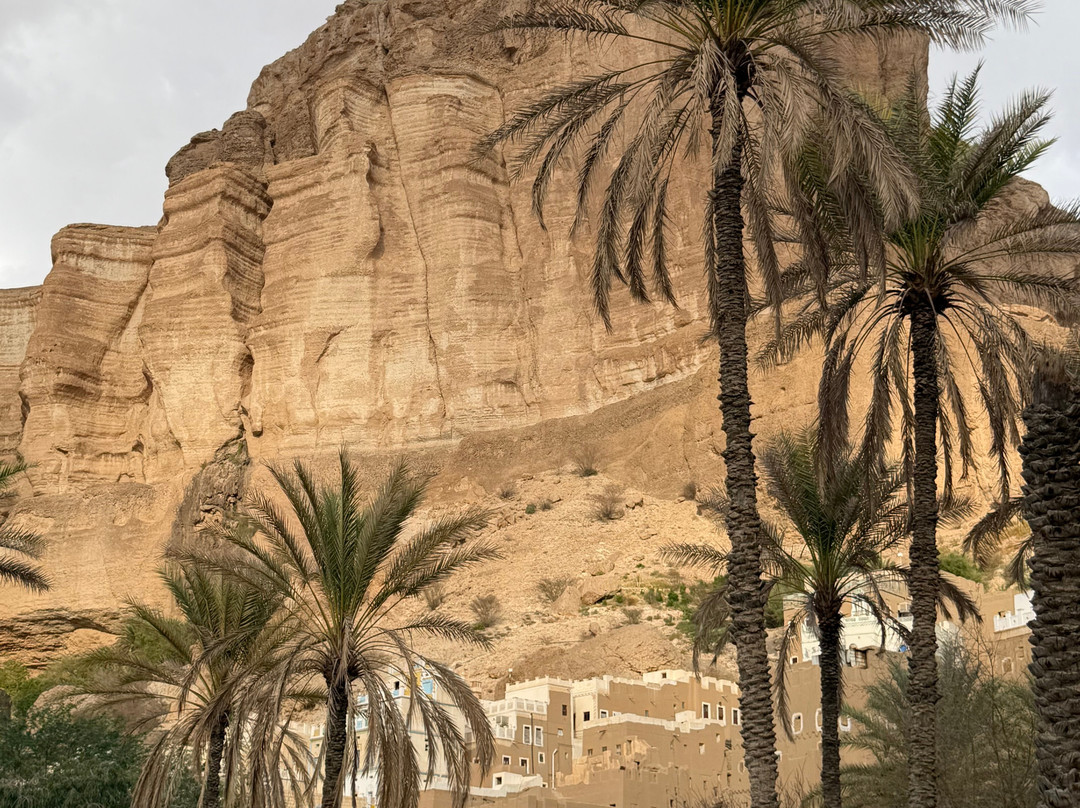 Yemen Heritage Tours-Seiyun必去景点
