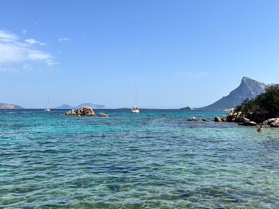Spiaggia Delle Vacche-Baia Sardinia必去景点