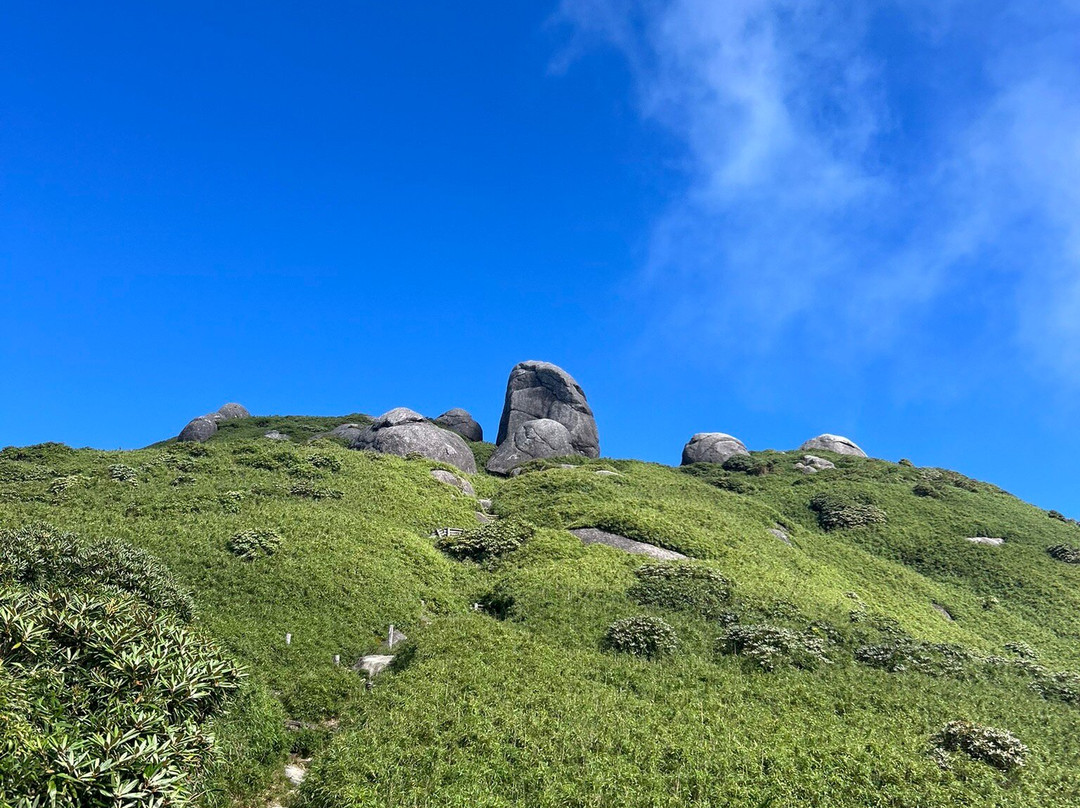 Mt. Miyanouradake-屋久岛町必去景点