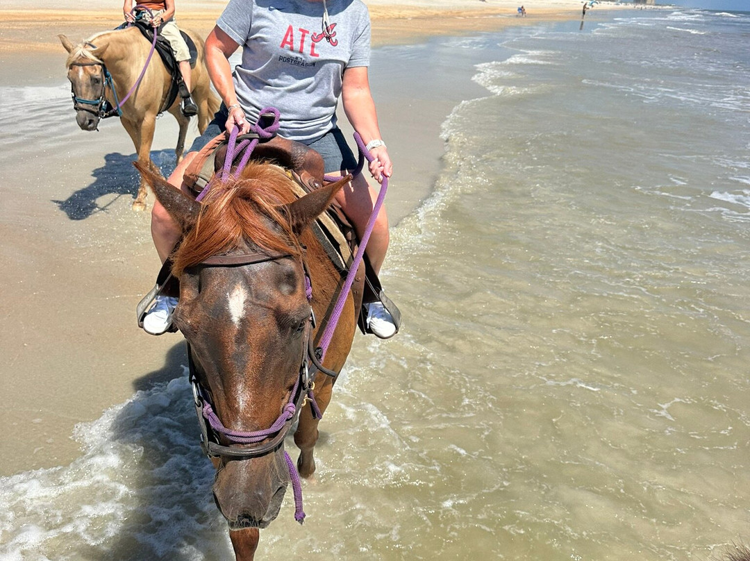 Equestrian Adventures of Florida-代托纳比奇必去景点
