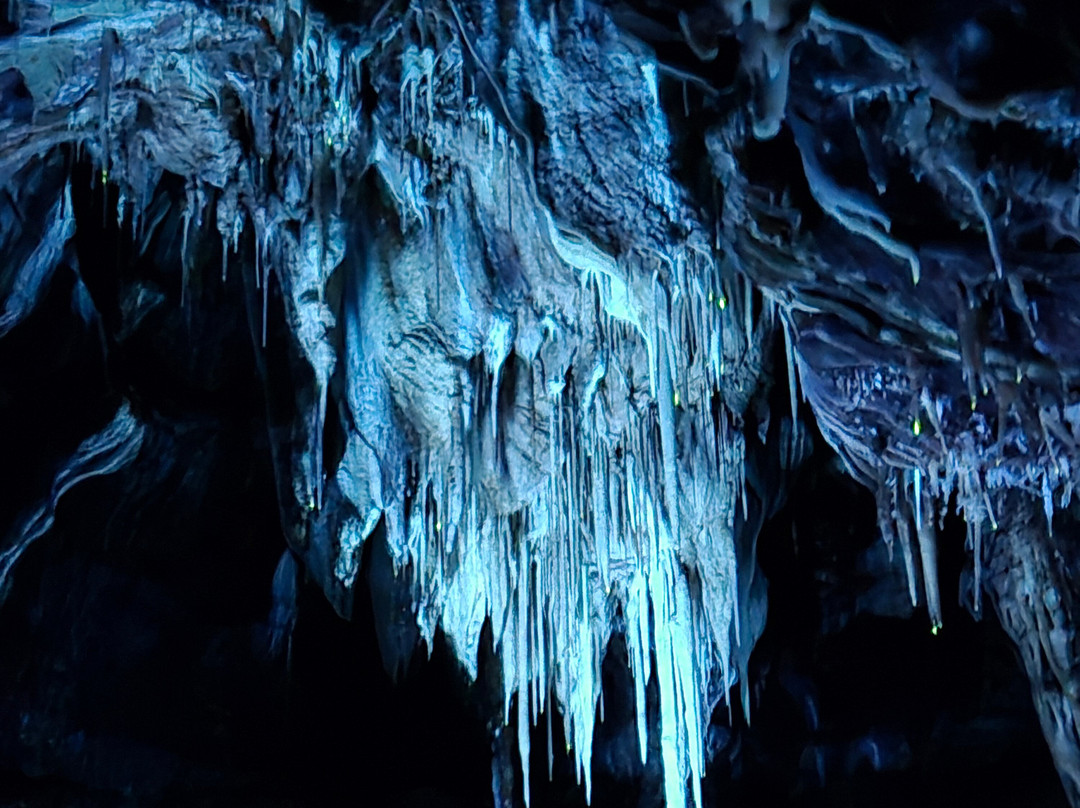 Grottes de Lacave-Lacave必去景点