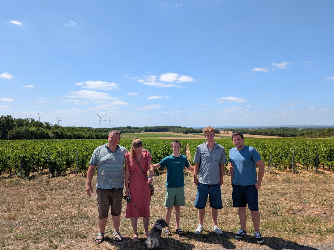 Pique Russe Vineyard-Gourvillette必去景点