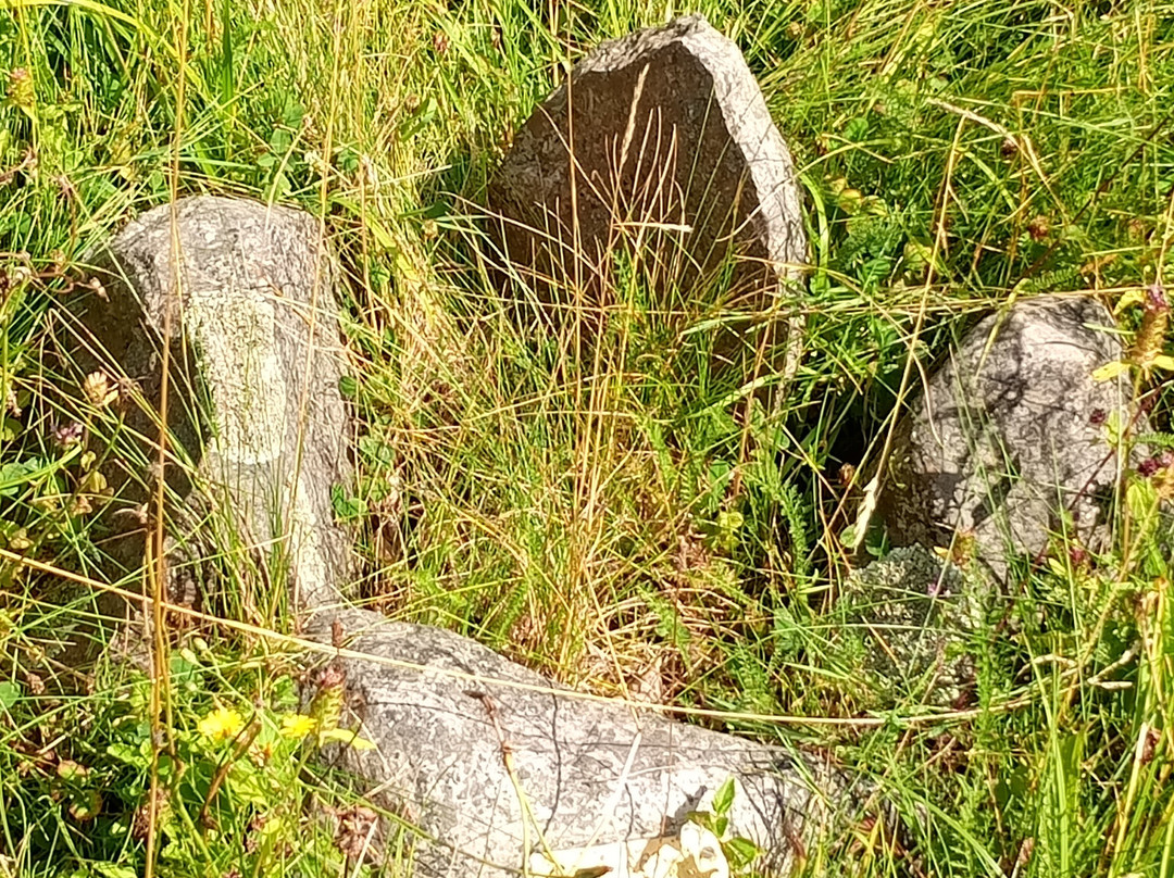 Findlingsring Breetze-Bleckede必去景点