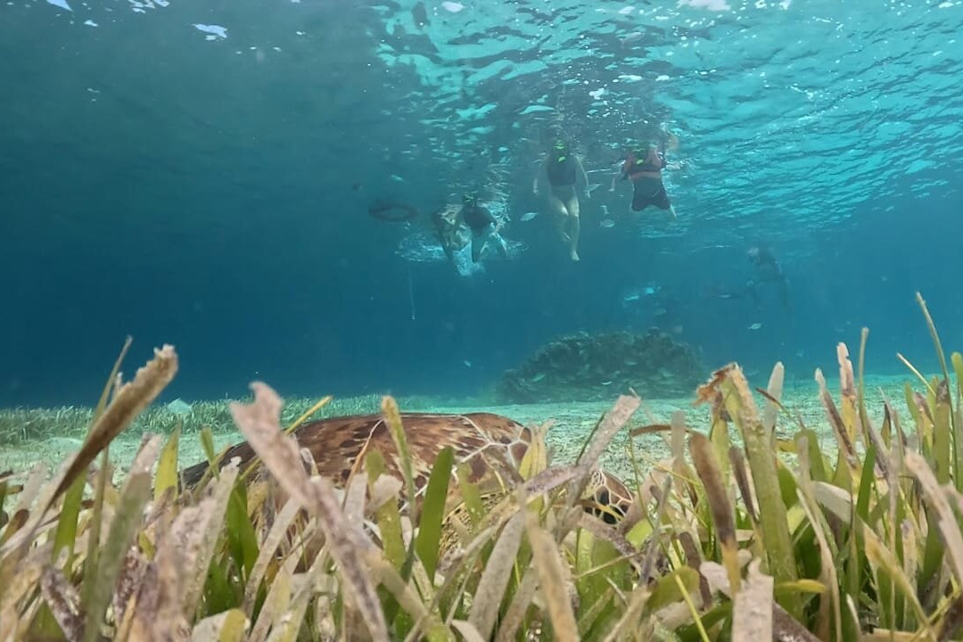 Playa El Cielo Cozumel-考祖梅必去景点