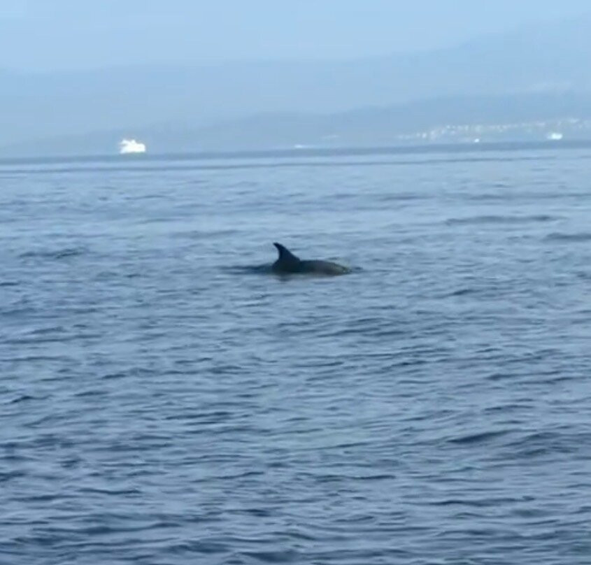 Skiper Exclusive Boat Tours-苏佩塔尔必去景点