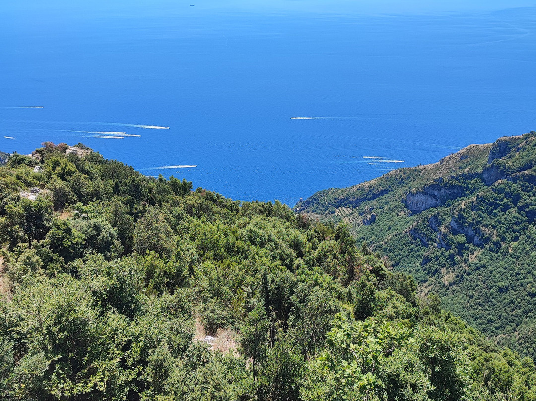 Belvedere Paipo