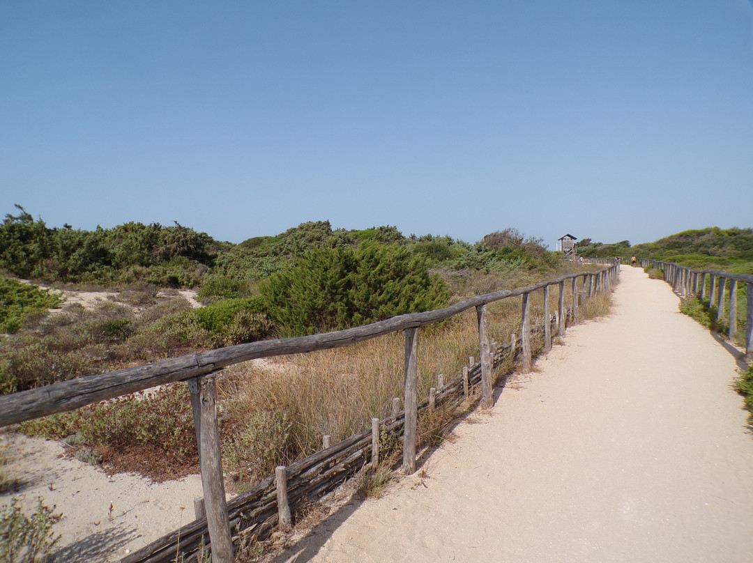 Spiaggia Salina dei Monaci-Manduria必去景点
