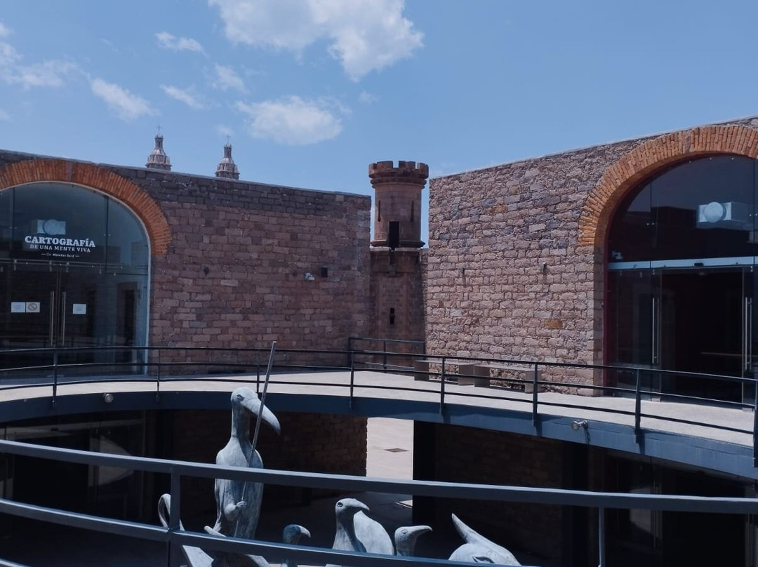 Museo Leonora Carrington-圣路易斯坡托西必去景点