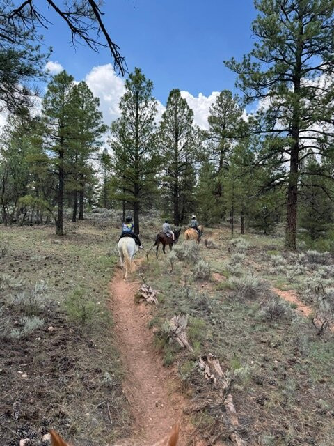 Grand Canyon Trail Rides-图萨扬必去景点