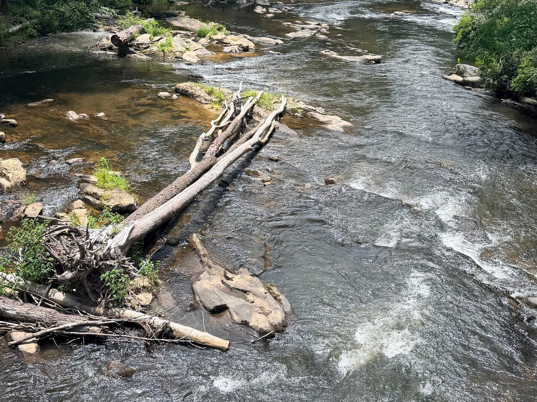 Swinging Bridge on the Toccoa River-蓝岭必去景点