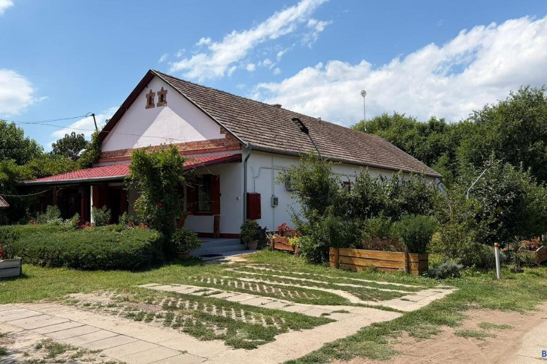 Dobó Tanya