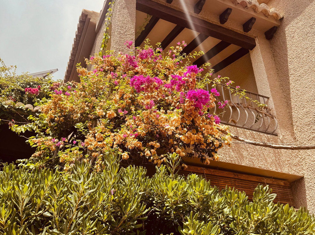 Swiss Moraira Hotel - Adults Only主图