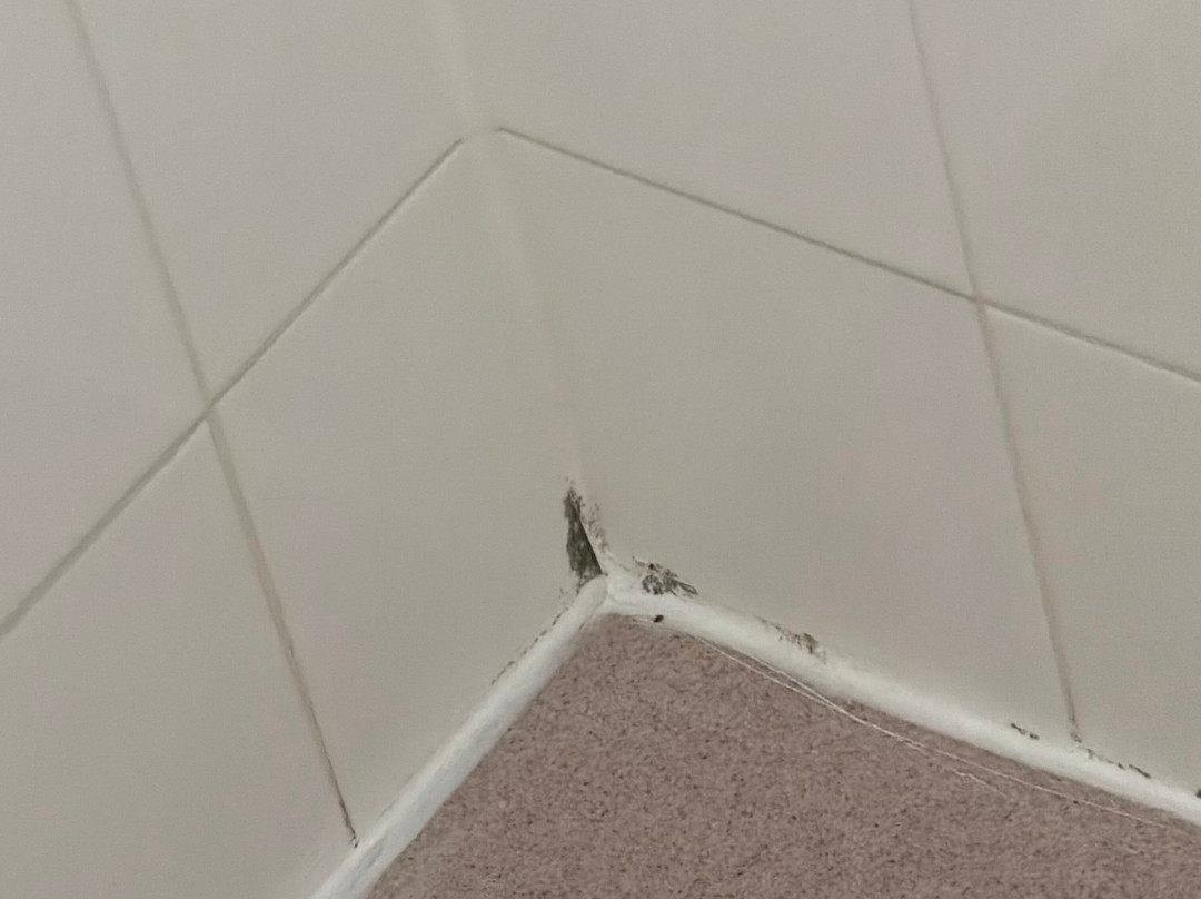 莱尔凯悦酒店-近内珀维尔主图