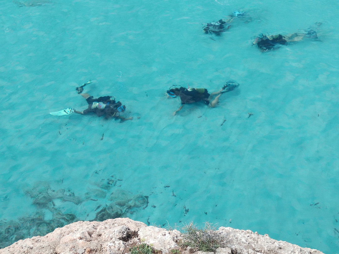 Acqua Life Dive Center-Calas de Majorca必去景点
