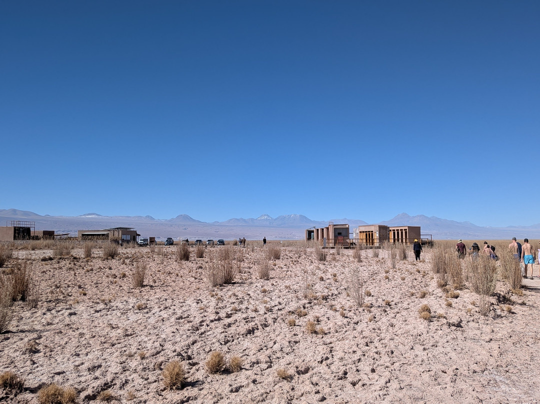 Laguna Cejar-圣佩德罗-德阿塔卡马必去景点