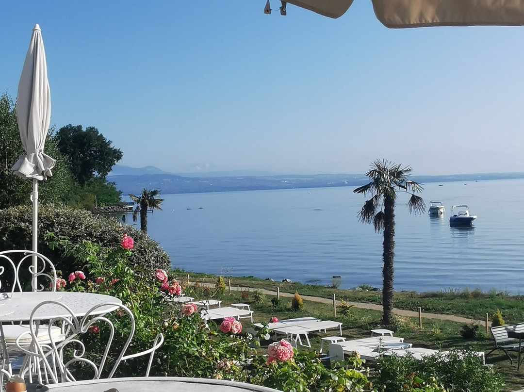 Hôtel-Restaurant de la Plage主图