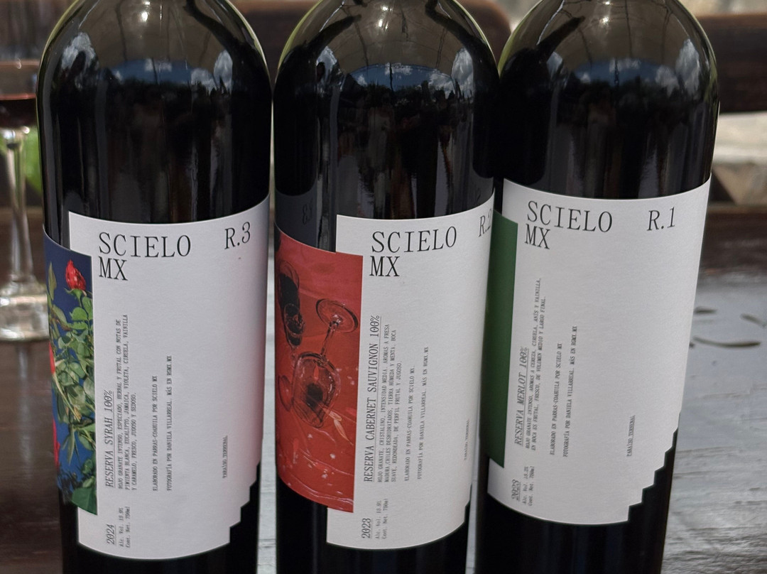Bodega RGMX-Parras de la Fuente必去景点