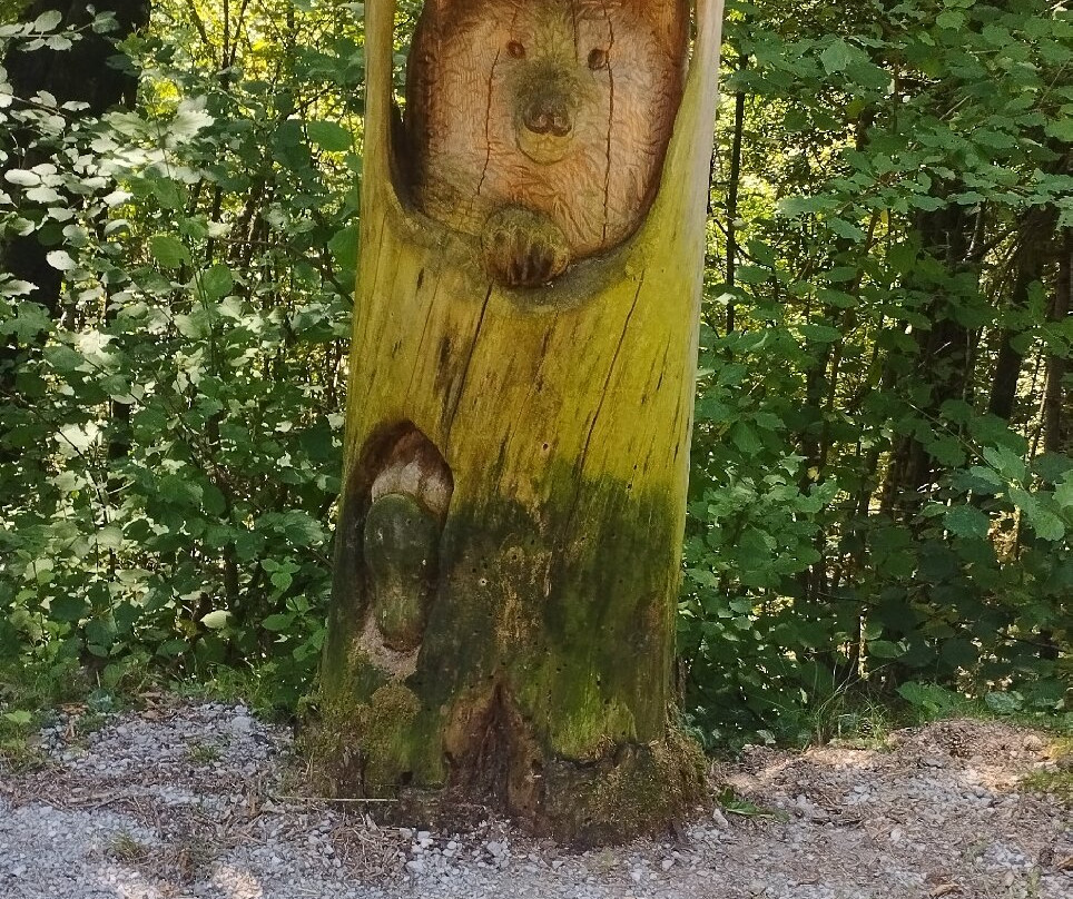BoscoArteStenico Museo d'Arte nella Natura-Stenico必去景点