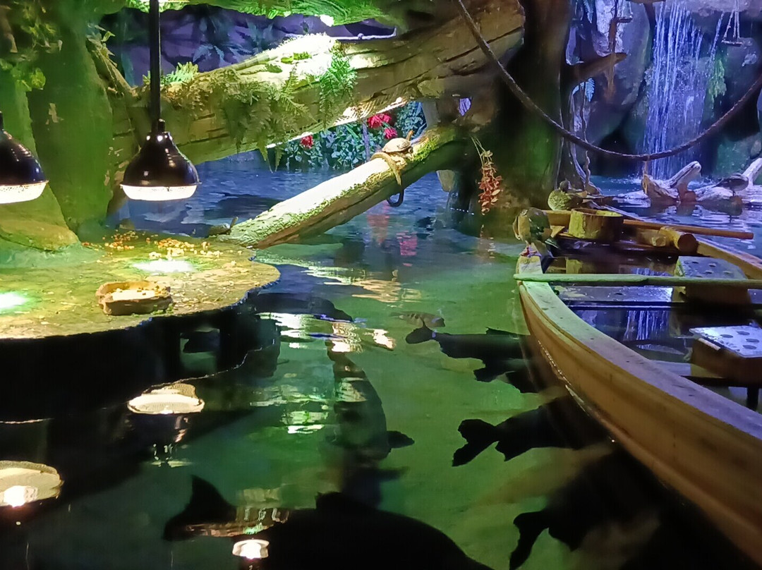 The National Aquarium Abu Dhabi-阿布扎比必去景点