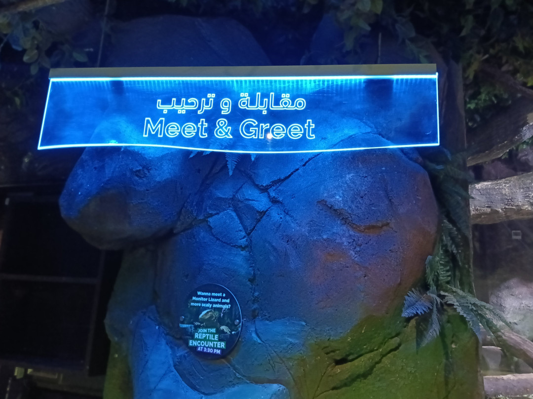 The National Aquarium Abu Dhabi-阿布扎比必去景点