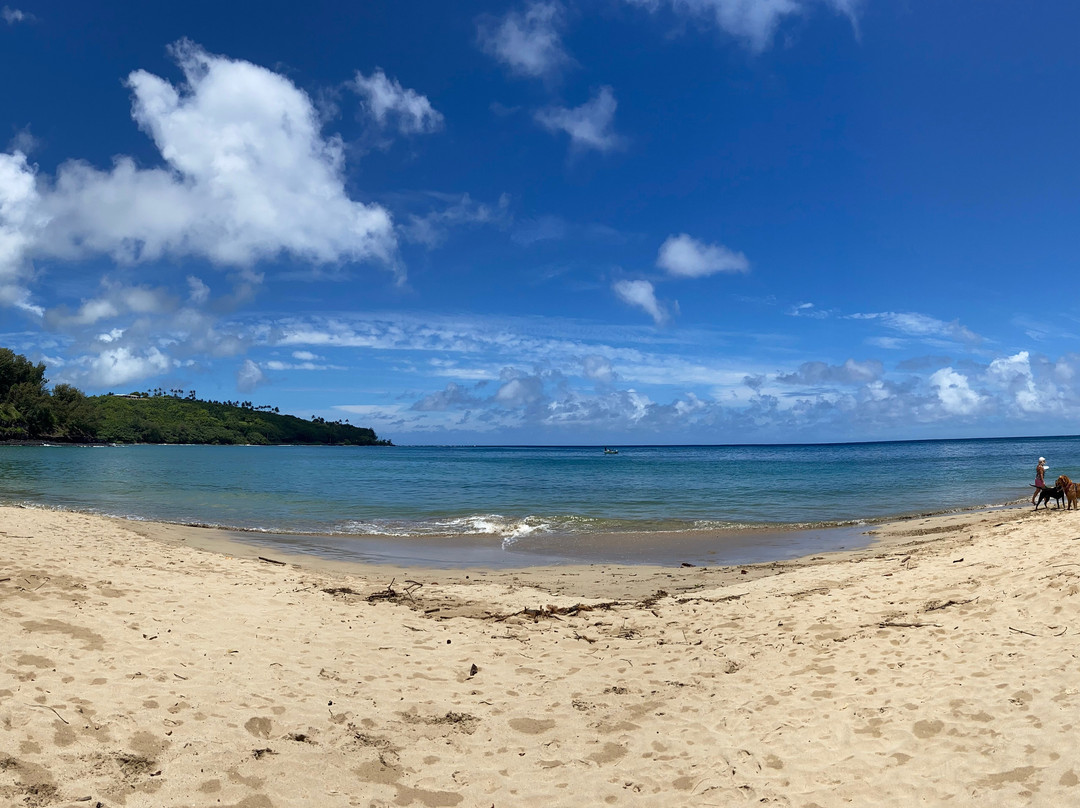 Kalihiwai Beach-基拉韦厄必去景点