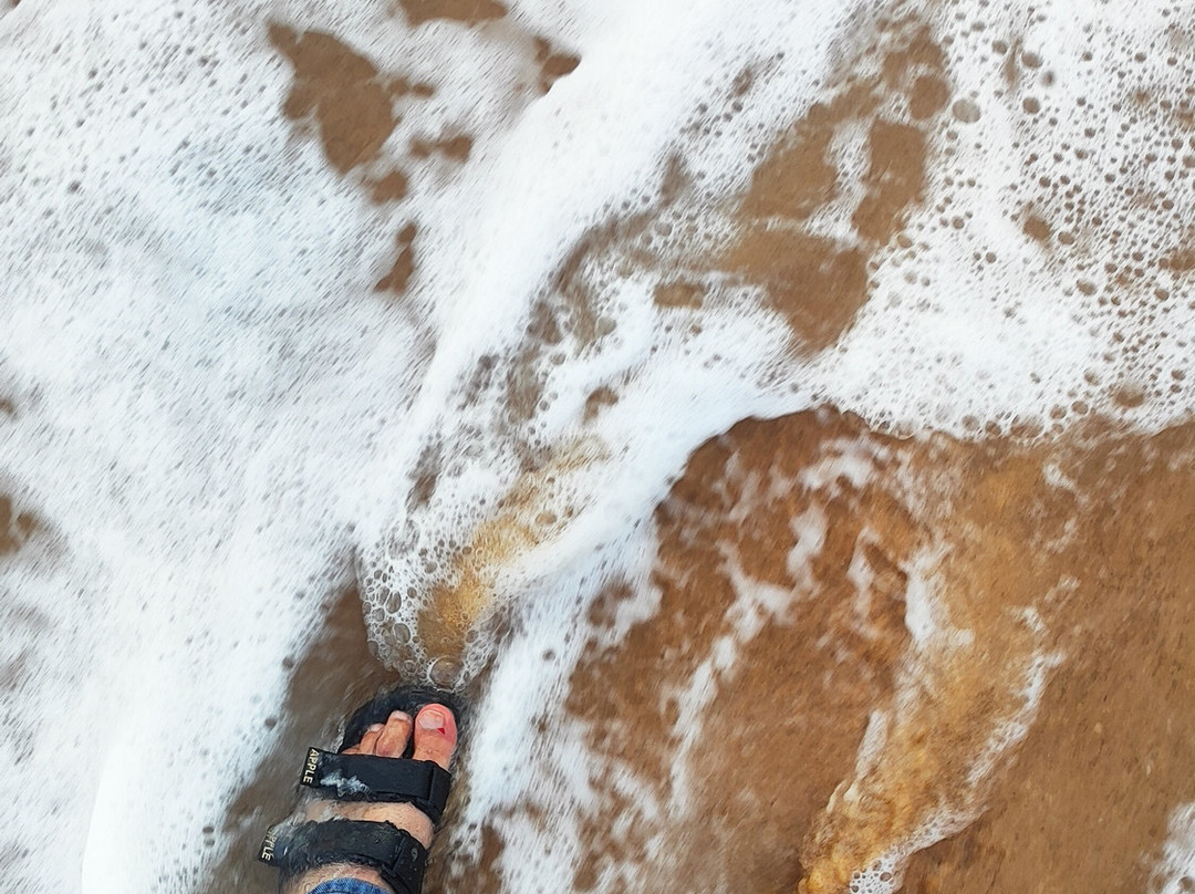 Candolim Beach-巴德士必去景点