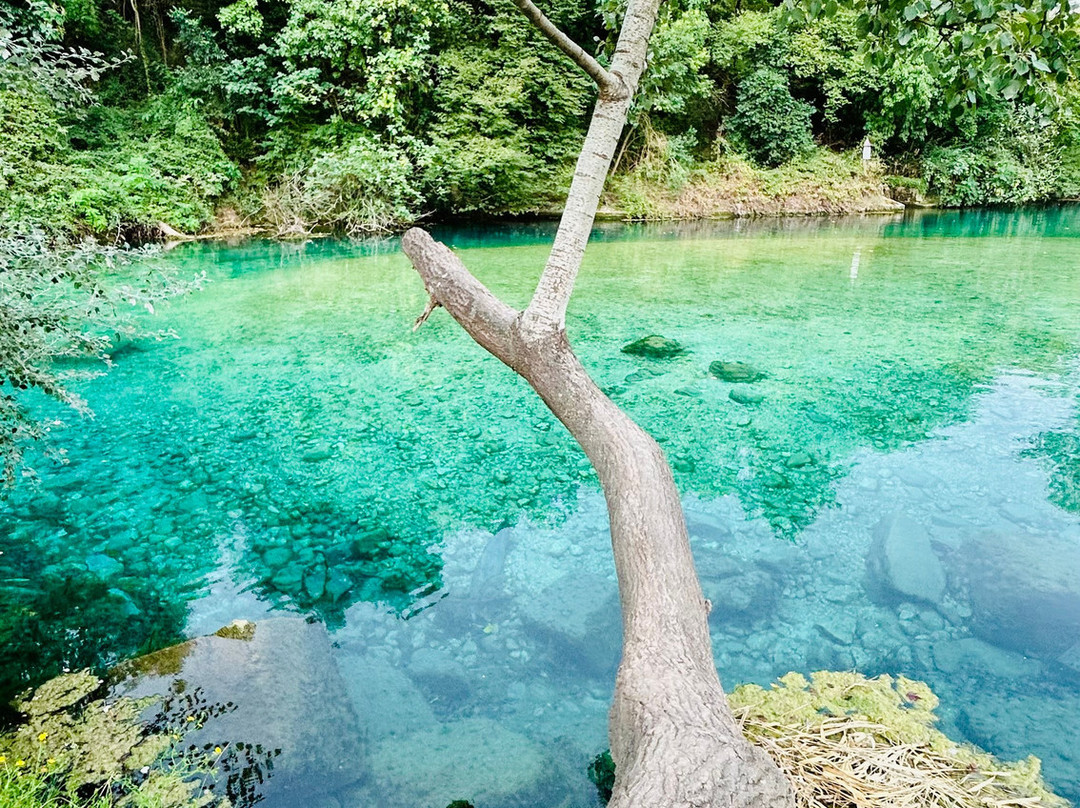 Le Mole Di Narni
