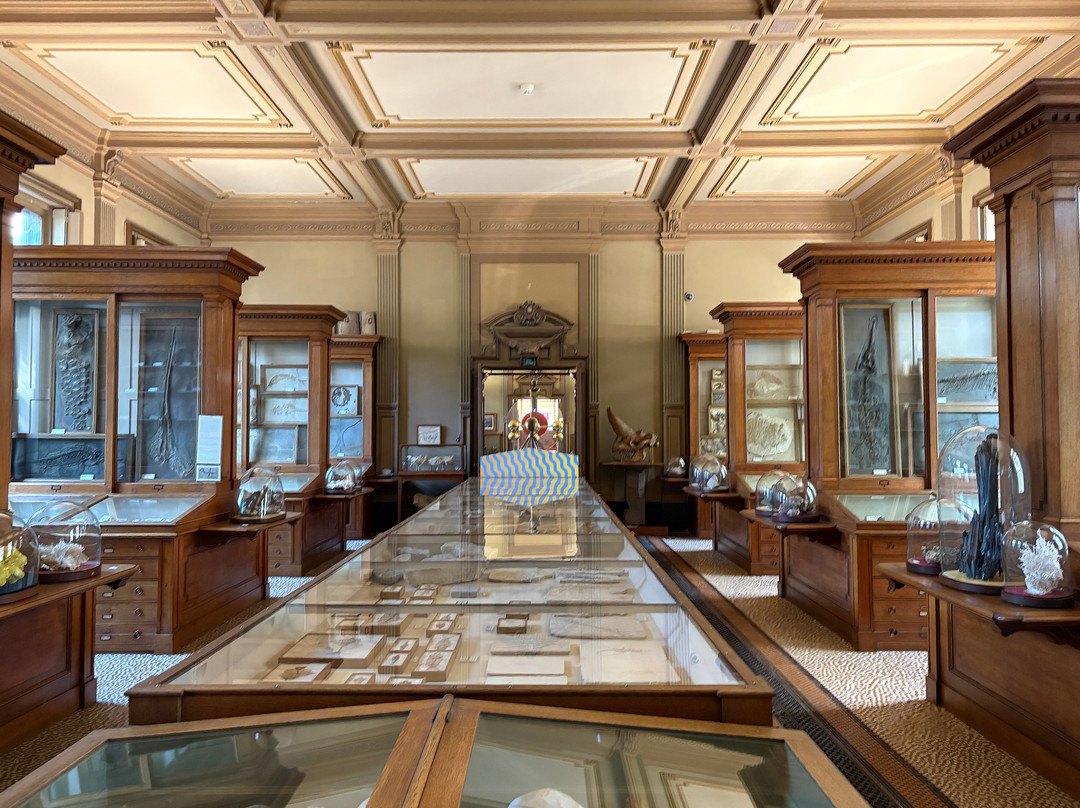 Teylers Museum-哈勒姆必去景点