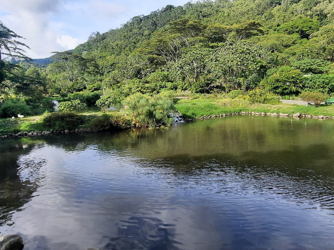 Parque Biblioteca de Boquete-波魁特必去景点