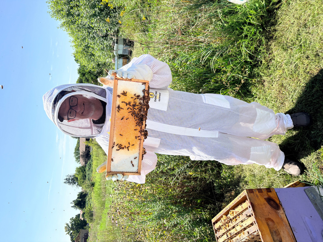 The Bee Spot-Tamworth必去景点