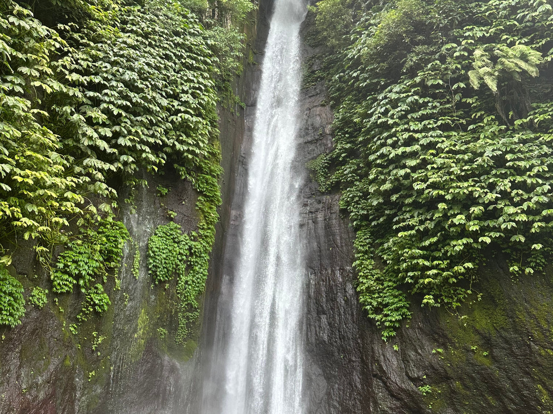 Bali Profond-登巴萨必去景点