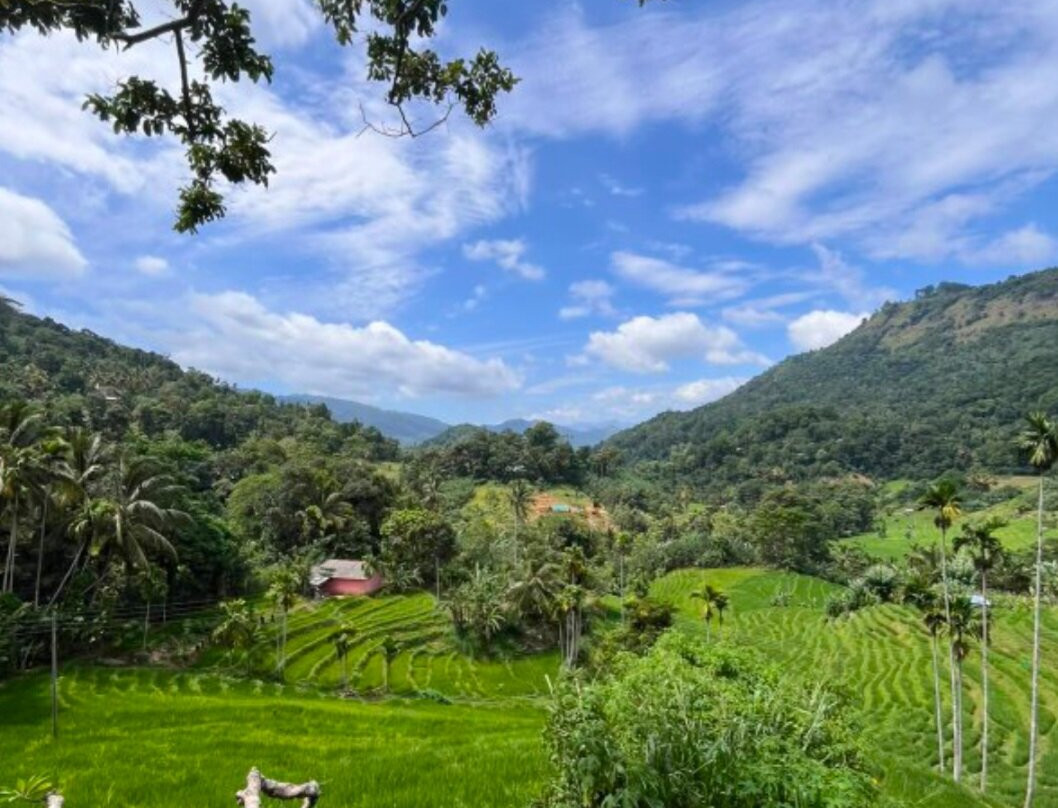 Sri Lanka Trekking-康提必去景点