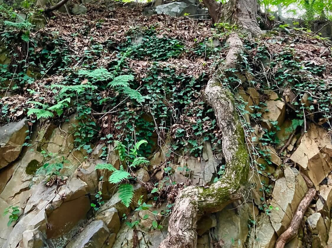 East Rock Park-纽黑文必去景点