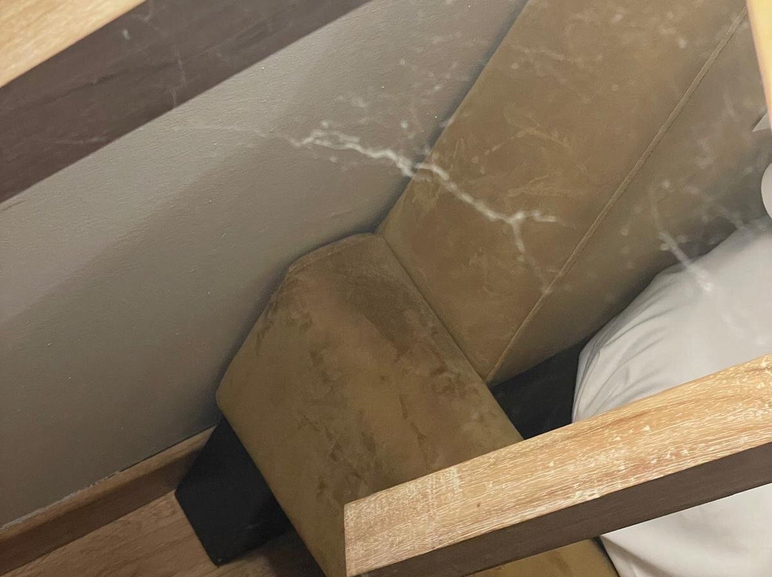 拜奥罗莱纳特酒店主图