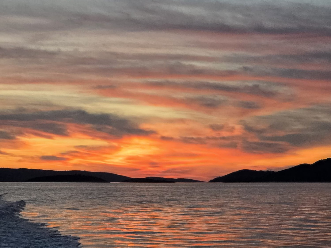 Feel Adriatic Nature Boat Tours Zadar-扎达尔必去景点