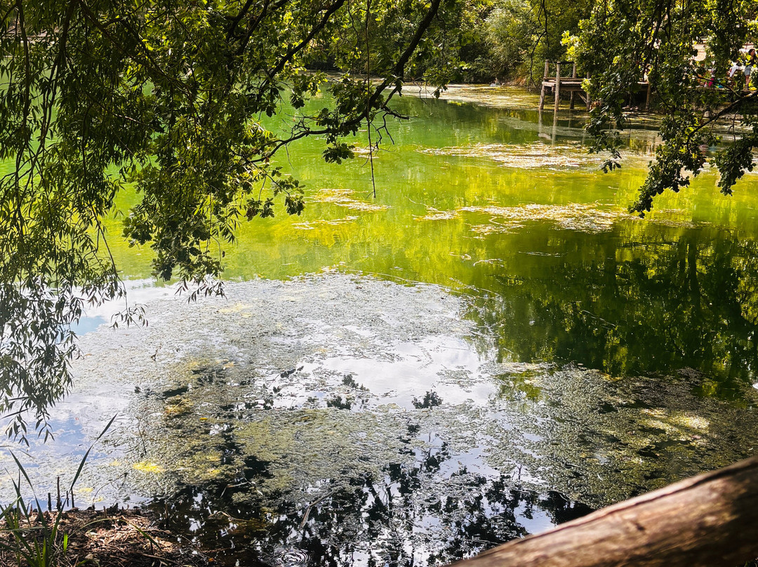 Lago Sinizzo-San Demetrio ne' Vestini必去景点