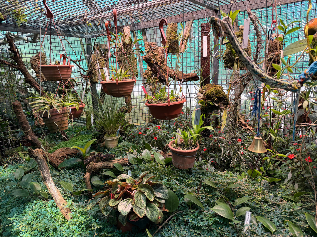 Zurich Succulent Plant Collection-苏黎世必去景点