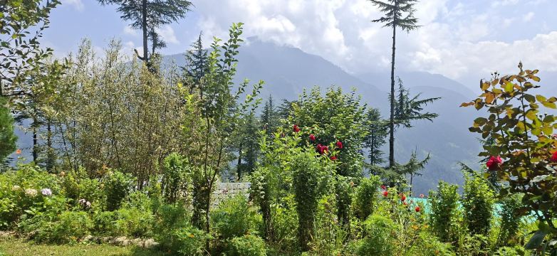 Ishan Log Huts - A Boutique Homestay-旅行者